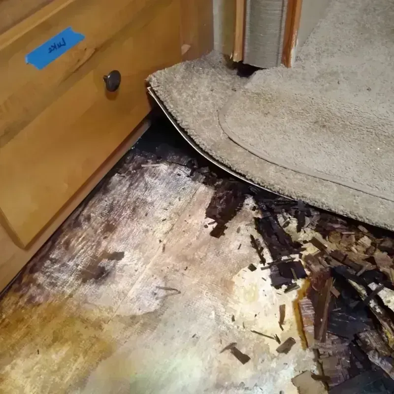 Best Wood Floor Water Damage Service in Ellsworth County, KS